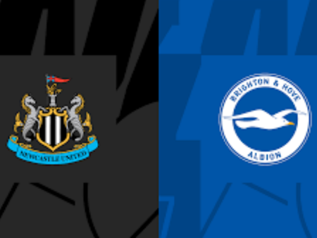 Nhận định bóng đá Newcastle vs Brighton, 01h30 ngày 19/5